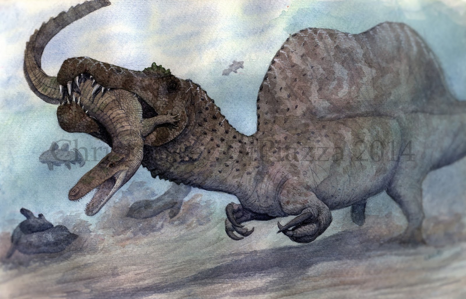 Spino