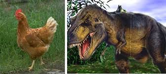 trex